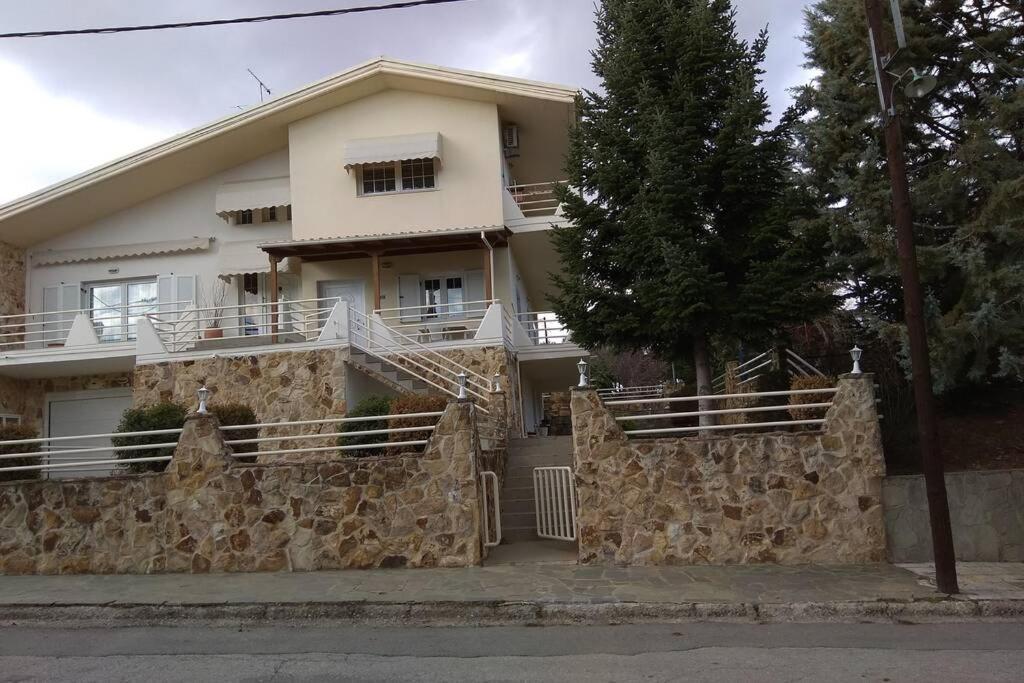 Apartamento The Stone House Kozani Exterior foto
